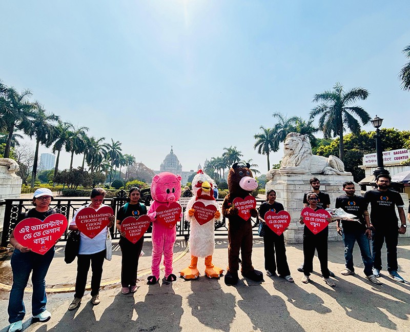 In Images: Love gets a vegan twist as activists hit the streets