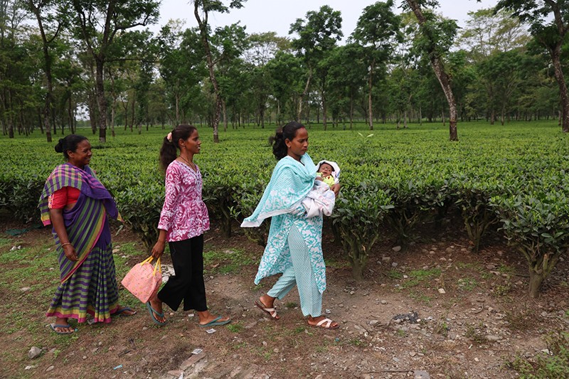 In Images: Voters queue up as assembly polls underway in North Bengal