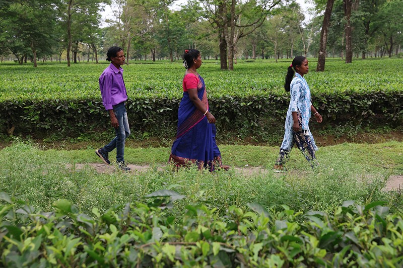 In Images: Voters queue up as assembly polls underway in North Bengal