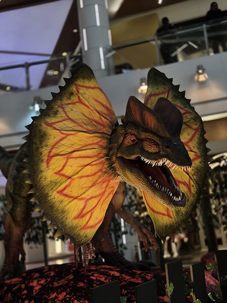 In Images: Kolkata's South City Mall unveils ‘Dino World’, Eastern India's biggest prehistoric family experience