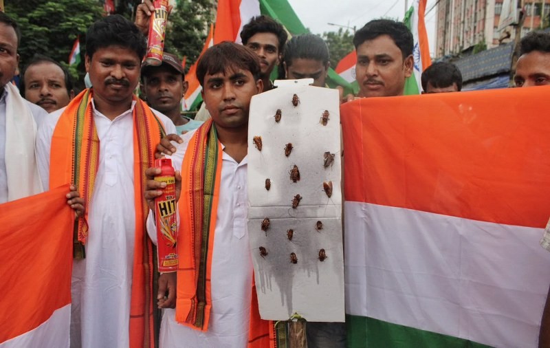 In Images: BJP holds Tiranga Yatra in Kolkata amid tensions after NEET protest violence
