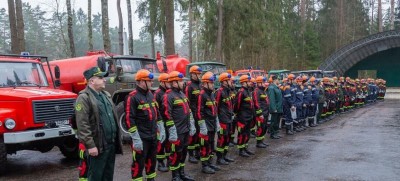 Forests are more than a resource: How Belarus protects its vital ecosystem
