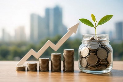 How to Choose the Right Large Cap MF for Your Portfolio: A Step-by-Step Guide