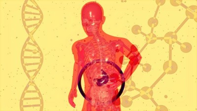 Forget probiotics? Nutritionist says this is the real secret to better gut health