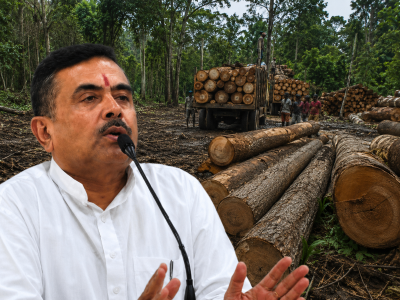 Stop timber smuggling, plant 10 crore saplings: Bengal CM Suvendu Adhikari to forest officials