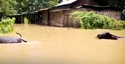 Assam floods: Death toll stays at 68 as over 5.24 lakh continue to battle deluge