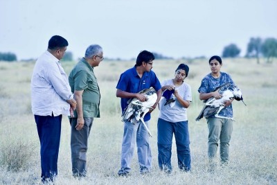 Two captive-bred Great Indian Bustards released into the wild in Rajasthan, marking shift to rewilding phase